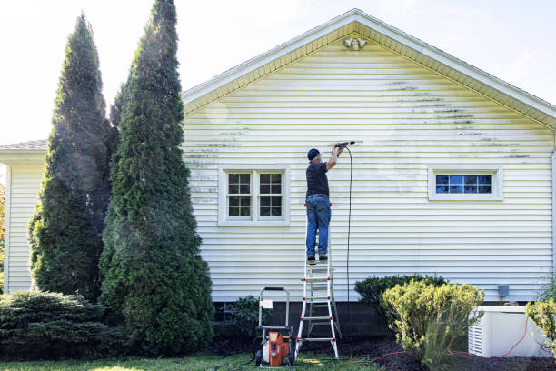 Trusted Coronado, CA Pressure Washing Services Experts